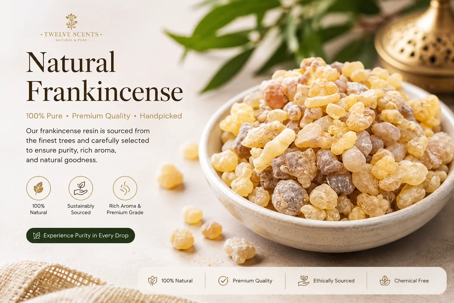 Rock Frankincense